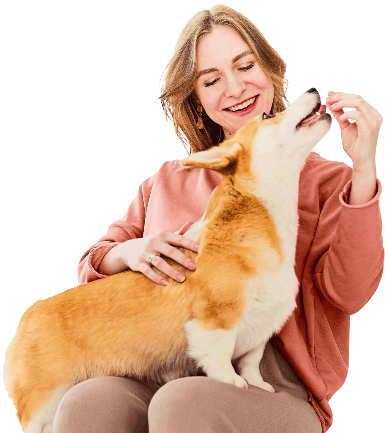 CLÍNICA VETERINÁRIA EMIVET 24 HORAS